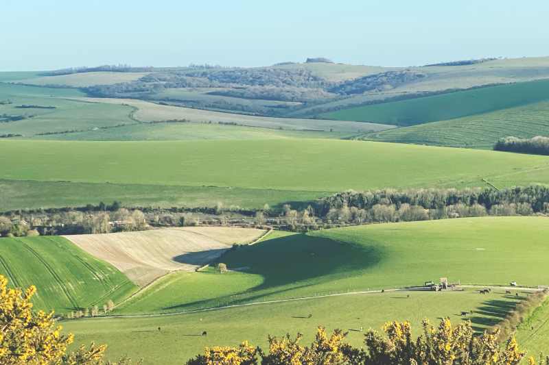 Kinesiology-lewes-contact contact kinesiology lewes